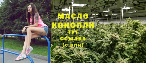 спиды Каменногорск
