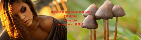 СК Карталы