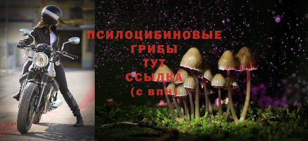 СК Карталы