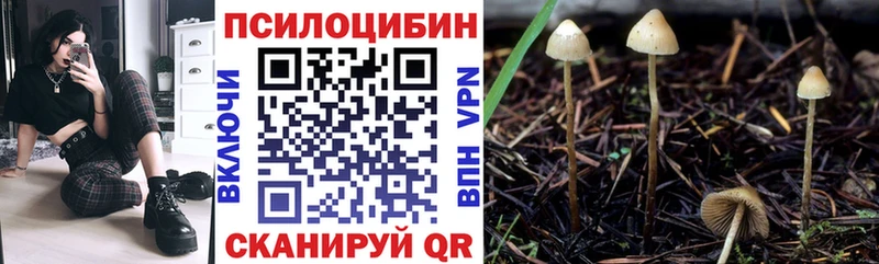 Псилоцибиновые грибы мицелий  блэк спрут как зайти  Слободской 
