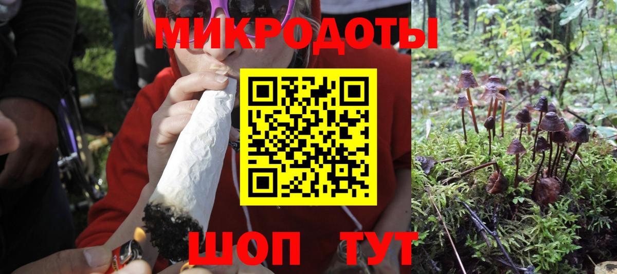 Слободской  Псилоцибиновые грибы мухоморы  Вход с VPN 
